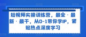 短视频实操训练营，最全·最新·最干，从0-1带你学IP，紧贴热点深度学习-虚拟资源库