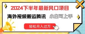 2024下半年最新风口项自，海外视频搬运腾讯，小白可上手，轻松月入过万【揭秘】-虚拟资源库