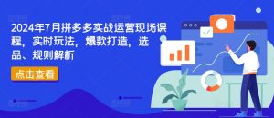 2024年7月拼多多实战运营现场课程，实时玩法，爆款打造，选品、规则解析-虚拟资源库