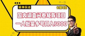 国内调查问卷矩阵项目，一人批量多号月入3000【揭秘】-虚拟资源库