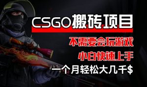 CSGO 装备搬砖项目，操作简单，不需要会玩游戏，小白也能快速上手，一个月轻松大几千【揭秘】-虚拟资源库