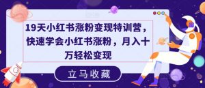 19天小红书涨粉变现特训营，快速学会小红书涨粉，月入十万轻松变现-虚拟资源库