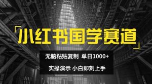 小红书国学赛道，无脑粘贴复制，单日1K，实操演示，小白即刻上手【揭秘】-虚拟资源库