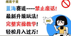 超级干货,蓝海赛道-禁止废话,最新升级玩法,完整实操教学,轻松月入过万【揭秘】-虚拟资源库