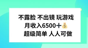 不露脸 不出境 玩游戏，月入6500 超级简单 人人可做【揭秘】-虚拟资源库