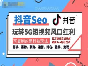 抖音SEO引流培训课程-抓住抖音风口，实现搜索排名，获取精准流量，快速成交变现-虚拟资源库