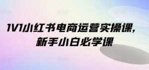 1V1小红书电商运营实操课，新手小白必学课-虚拟资源库