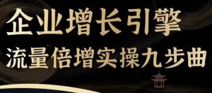 企业增长引擎流量倍增实操九步曲，一套课程帮你找到快速、简单、有效、可复制的获客+变现方式，-虚拟资源库