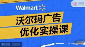 沃尔玛广告优化实操课，广告报告实操讲解，广告如何提高转化和ROAS等-虚拟资源库