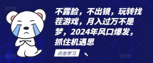不露脸,不出镜,玩转找茬游戏,月入过万不是梦,2024年风口爆发,抓住机遇【揭秘】-虚拟资源库