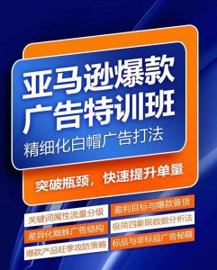 亚马逊爆款广告特训班,快速掌握亚马逊关键词库搭建方法,有效优化广告数据并提升旺季销量-虚拟资源库