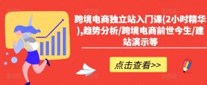 跨境电商独立站入门课(2小时精华),趋势分析/跨境电商前世今生/建站演示等-虚拟资源库