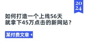 某付费文章《如何打造一个上线56天就拿下45万点击的新网站?》-虚拟资源库