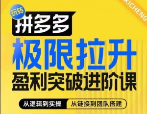 拼多多极限拉升盈利突破进阶课，​从算法到玩法，从玩法到团队搭建，体系化系统性帮助商家实现利润提升-虚拟资源库