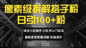 像素级拆解搭子粉，日引100+，小白看完可上手，最新变现思路详解【揭秘】-虚拟资源库