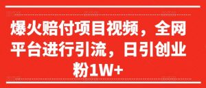 爆火赔付项目视频，全网平台进行引流，日引创业粉1W+【揭秘】-虚拟资源库