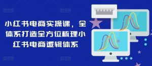 小红书电商实操课，全体系打造全方位梳理小红书电商逻辑体系-虚拟资源库
