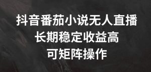 抖音番茄小说无人直播，长期稳定收益高，可矩阵操作【揭秘】-虚拟资源库