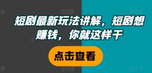 短剧最新玩法讲解，短剧想赚钱，你就这样干-虚拟资源库
