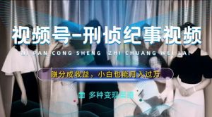 利用刑侦纪实视频,赚视频号分成计划收益,操作简单,新手小白轻松月入过万【揭秘】-虚拟资源库