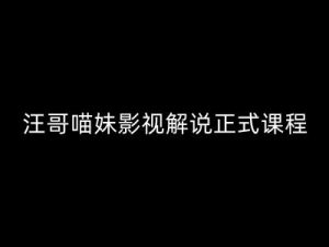汪哥影视解说正式课程:剪映/PR教学/视解说剪辑5大黄金法则/全流程剪辑7把利器等等-虚拟资源库