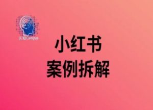 小红书案例拆解，深度解读小红书40万粉-虚拟资源库