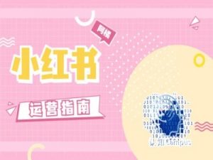 小红书运营指南,没有套路,全是经验-虚拟资源库