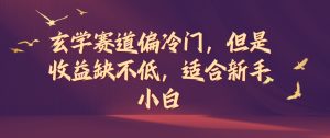 玄学赛道偏冷门，但是收益缺不低，适合新手小白【揭秘】-虚拟资源库