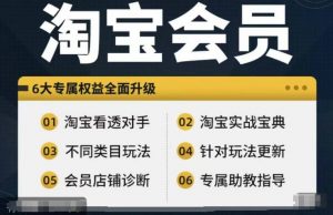 淘宝会员【淘宝所有课程，全面分析对手】，初级到高手全系实战宝典-虚拟资源库
