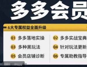 拼多多会员，拼多多实战宝典+实战落地实操，从新手到高阶内容全面覆盖-虚拟资源库
