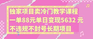 独家项目卖冷门教学课程一单88元单日变现5632元违规不封号长期项目【揭秘】-虚拟资源库