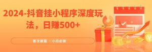 2024全网首次披露,抖音挂小程序深度玩法,日赚500+,简单、稳定,带渠道收入,小白必做【揭秘】-虚拟资源库
