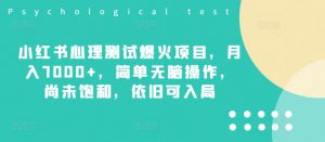 小红书心理测试爆火项目，月入7000+，简单无脑操作，尚未饱和，依旧可入局-虚拟资源库