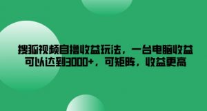 搜狐视频自撸收益玩法，一台电脑收益可以达到3k+，可矩阵，收益更高【揭秘】-虚拟资源库
