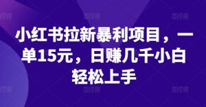 小红书拉新暴利项目，一单15元，日赚几千小白轻松上手【揭秘】-虚拟资源库
