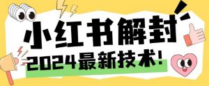 2024最新小红书账号封禁解封方法，无限释放手机号【揭秘】-虚拟资源库