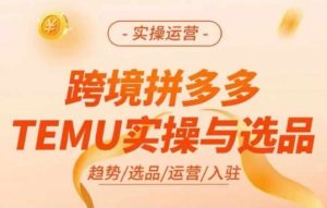 跨境拼多多TEMU实操与选品，多多temu跨境选品运营实操-虚拟资源库