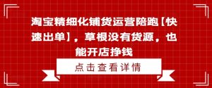 淘宝精细化铺货运营陪跑【快速出单】，草根没有货源，也能开店挣钱-虚拟资源库