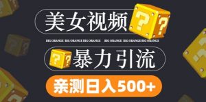 搬运tk美女视频全网分发，日引s粉300+，轻松变现，不限流量不封号【揭秘】-虚拟资源库