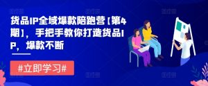 货品IP全域爆款陪跑营【第4期】,手把手教你打造货品IP,爆款不断-虚拟资源库