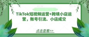 TikTok短视频运营+跨境小店运营,账号引流、小店成交-虚拟资源库