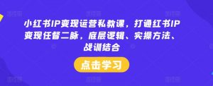 小红书IP变现运营私教课，打通红书IP变现任督二脉，底层逻辑、实操方法、战训结合-虚拟资源库