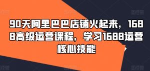 90天阿里巴巴店铺火起来，1688高级运营课程，学习1688运营核心技能-虚拟资源库