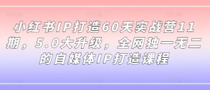 小红书IP打造60天实战营11期,5.0大升级,全网独一无二的自媒体IP打造课程-虚拟资源库