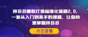 拼多多爆款打造标准化流程2.0，一套从入门到高手的课程，让你快速掌握拼多多-虚拟资源库