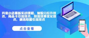 抖音小店最新实战课程,体验分拉升技术,商品卡引流技术,投流效果优化技术,精选联盟引流技术-虚拟资源库