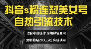 抖音s粉连怼美女号自热引流技术复制粘贴,20天万粉账号,无需实名制,矩阵操作【揭秘】-虚拟资源库