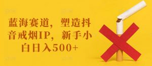 蓝海赛道，塑造抖音戒烟IP，新手小白日入500+【揭秘】-虚拟资源库