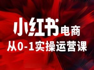 小红书电商从0-1实操运营课，让你从小白到精英-虚拟资源库