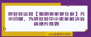 拼多多运营【聪明卖家都在做】无水印版，为拼多多中小卖家解决业绩增长难题-虚拟资源库